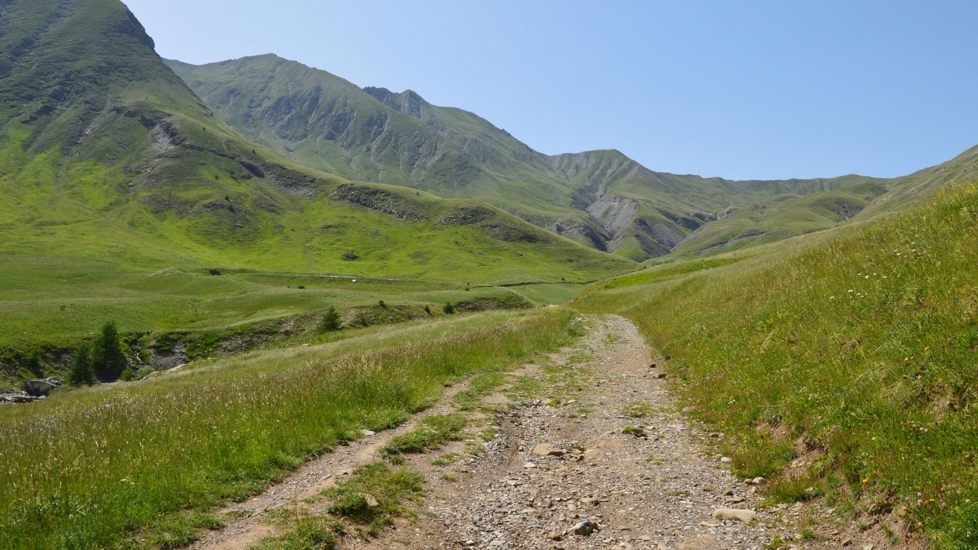 An unpaved track climbing through alpine meadow towards green mountains under a clear sky.