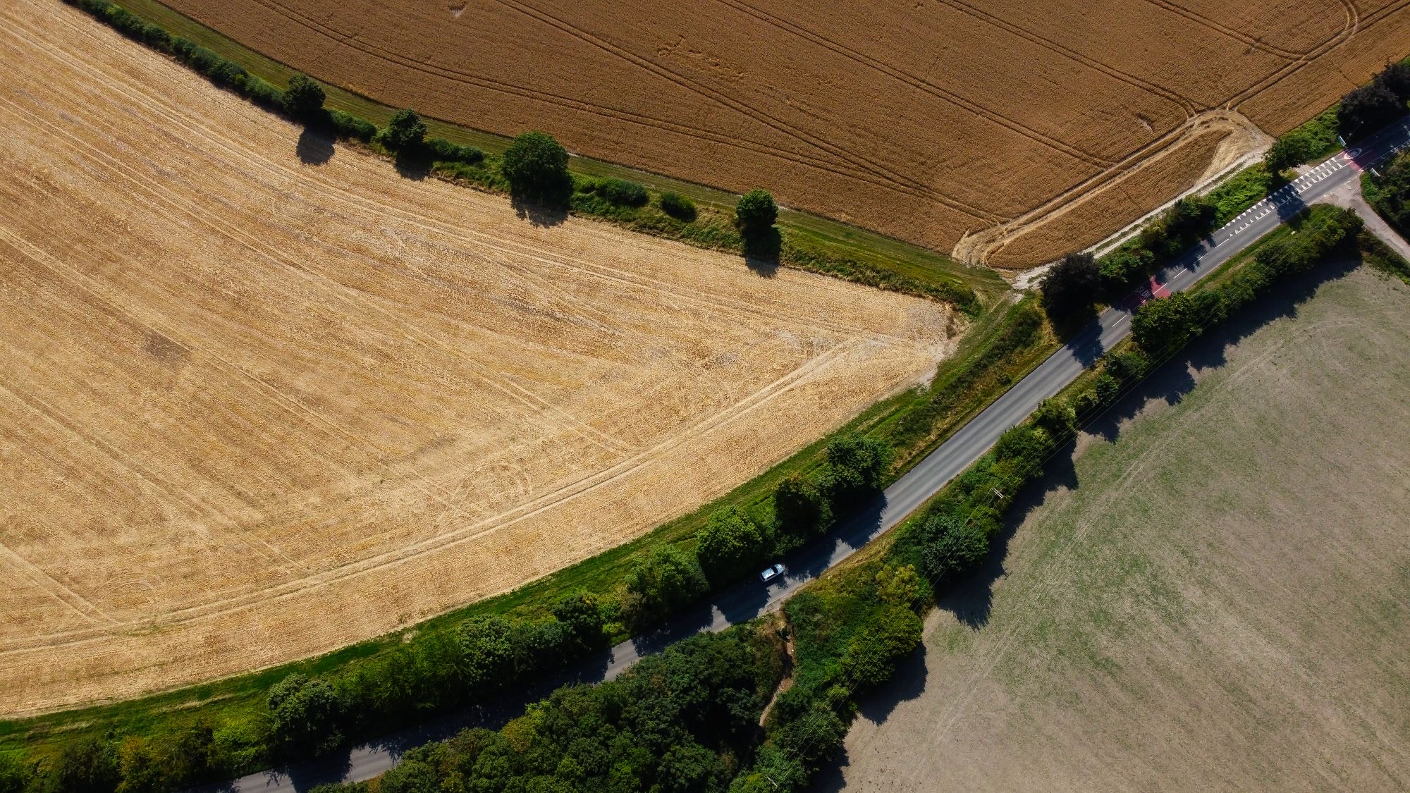 Aerial view of farmland divided into fields by hedgerows and tracks.