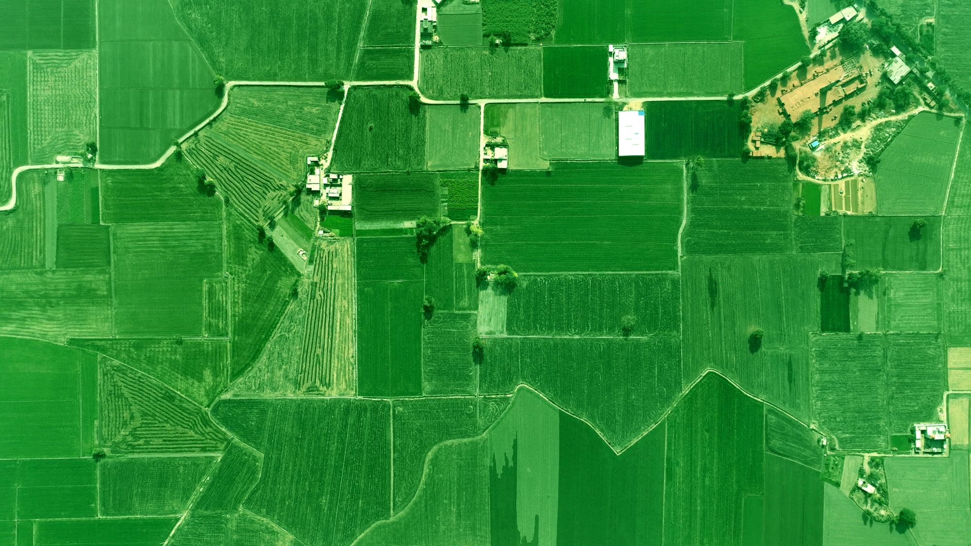Aerial view of agricultural fields in geometric blocks of green and brown.